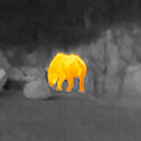Scout TK Warmtebeeldcamera