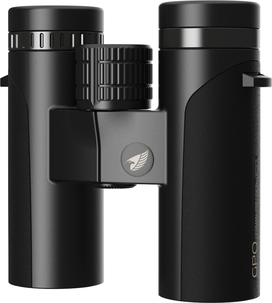 PASSION 8x32ED