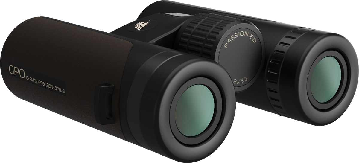 PASSION 8x32ED