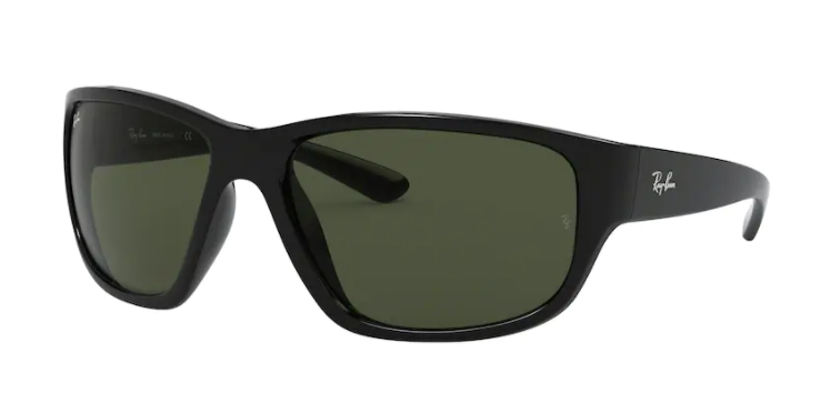 Ray-Ban RB4300