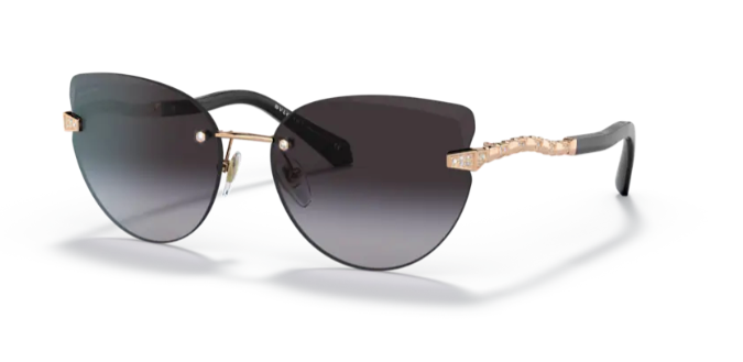 Bvlgari BV6172-B