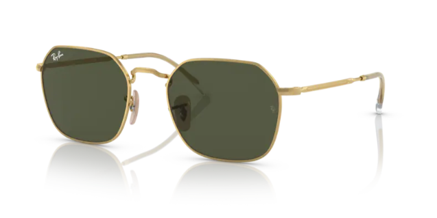 Ray-Ban RB3694