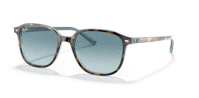 Ray-Ban RB2193