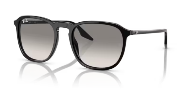 Ray-Ban RB2203