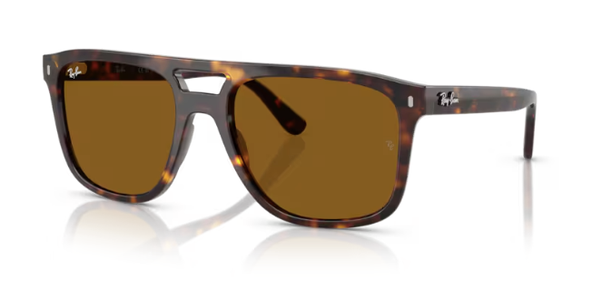 Ray-Ban RB2213
