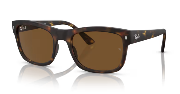 Ray-Ban RB4428