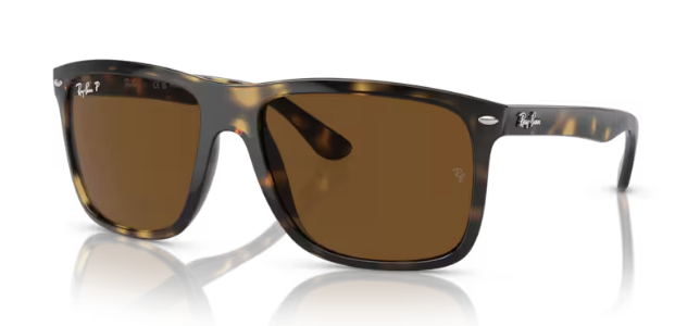 Ray-Ban RB4547