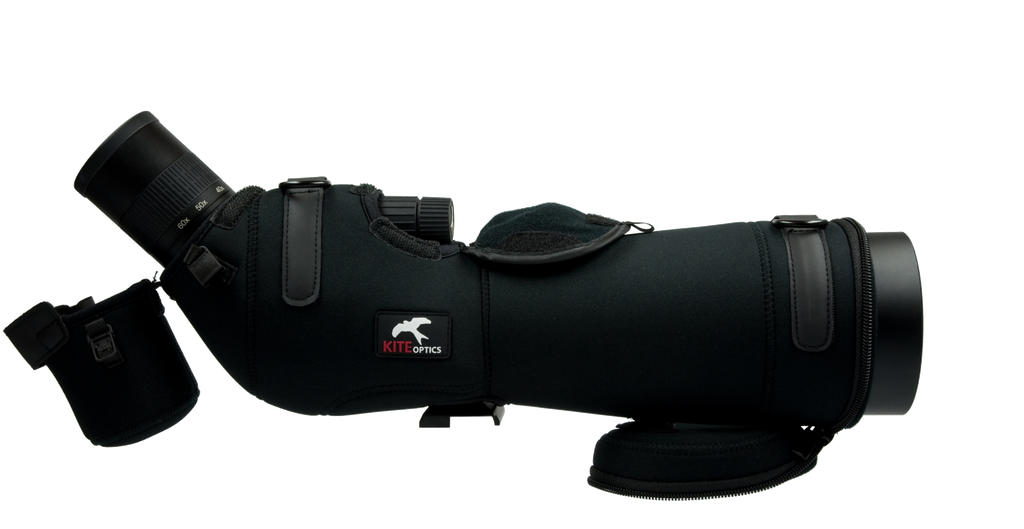 Skua  SP-82