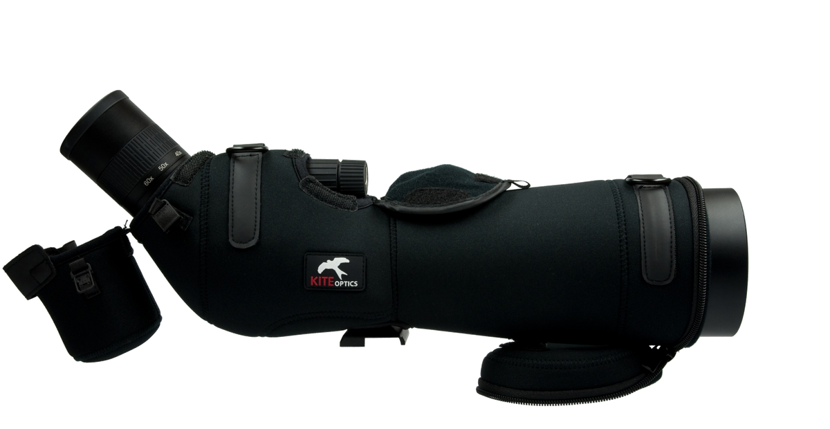 Skua  SP-82